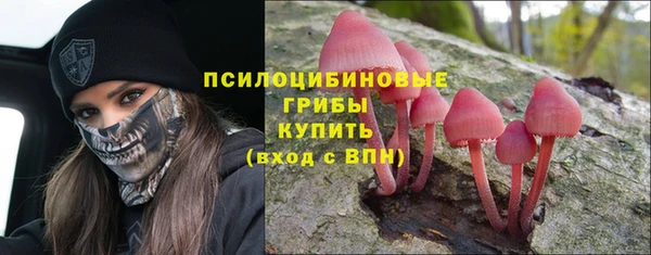 ECSTASY Абдулино