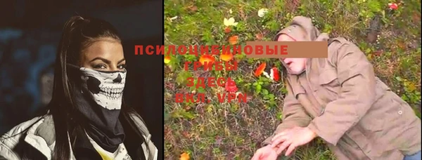героин Абаза