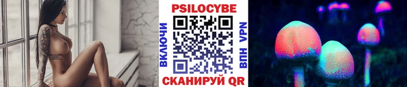 Псилоцибиновые грибы Cubensis  магазин    OMG зеркало  Югорск 