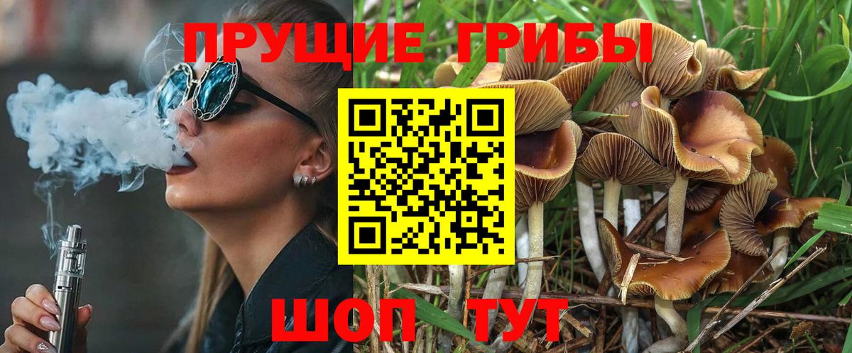 Псилоцибиновые грибы Psilocybe  Галлюциногенные грибы мицелий  где продают   Югорск  Вход с VPN 